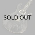 Paul Reed Smith　Custom 24 Gray Black