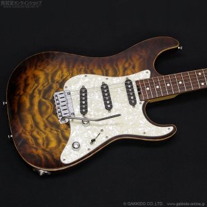 画像2: SCHECTER　EX-III-CTM-VTR-CS UBB/HR [Ultimate Brown Burst] [中古品]