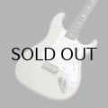 Paul Reed Smith (PRS) SILVER SKY Moc Sand Satin (Rosewood)