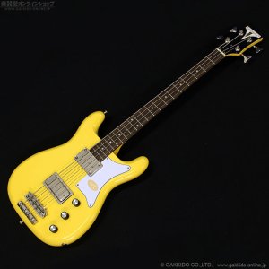 画像1: Epiphone　Newport Bass [Sunset Yellow]