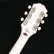 画像7: Epiphone　Billie Joe Armstrong Les Paul Junior [Classic White] (7)