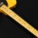 画像5: Squier　Classic Vibe '50s Telecaster [Butterscotch Blonde]