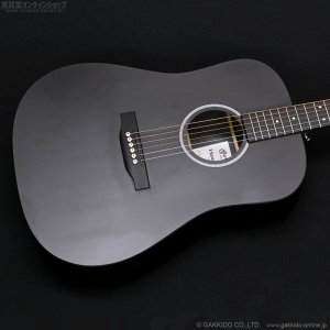 画像2: Martin　D-X1 Black