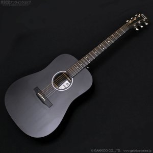 画像1: Martin　D-X1 Black