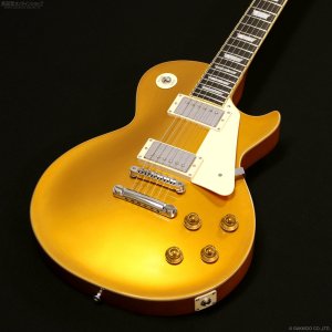 画像2: Edwards　E-LP-STD GO [Gold]