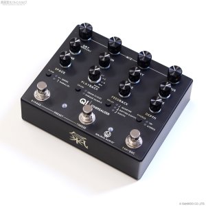 画像1: Walrus Audio　Qi Etherealizer [Black]