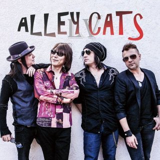 ALLEY CATS LV｜WHA CHA SAY! - 楽器堂オンラインショップ