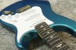 画像4: Paul Reed Smith (PRS)　SILVER SKY Rosewood [Dodgem Blue] (4)