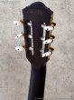 画像9: Ibanez　 TOD10N TKF Tim Henson Signature [Transparent Black Flat] (9)