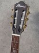 画像8: Ibanez　 TOD10N TKF Tim Henson Signature [Transparent Black Flat] (8)