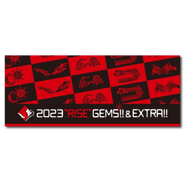 画像1: 2023“RISE”GEMS!!&EXTRA!!　Face Towel フェイスタオル (1)