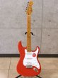 画像1: Squier　Classic Vibe 50s Stratocaster [Fiesta Red] (1)