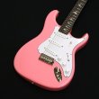 画像1: Paul Reed Smith (PRS) SILVER SKY Roxy Pink (Rosewood) (1)