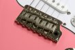 画像9: Paul Reed Smith (PRS)　SILVER SKY Rosewood [Roxy Pink] (9)