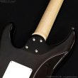 画像11: SCHECTER　SD-2-24-AL STBK/R [See-thru Black] (11)