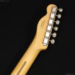 画像7: Fender　Player II Telecaster [Coral Red] (7)