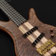 画像8: Phoenix by TUNE　PH-II-5 Custom “Figured Claro Walnut” (8)