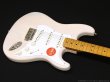 画像4: Squier　Classic Vibe 50's Stratocaster [White Blonde] (4)