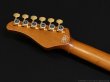 画像7: SCHECTER　SD-2-24-MH BRNT/RM/R [Bright Natural] (7)