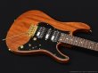 画像4: SCHECTER　SD-2-24-MH BRNT/RM/R [Bright Natural] (4)