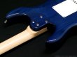 画像8: SCHECTER　BH-1-STD-24 [Deep Blue] (8)