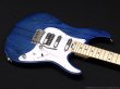 画像5: SCHECTER　BH-1-STD-24 [Deep Blue] (5)