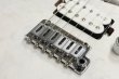 画像6: SAITO GUITARS S-622 [White Granite] (6)