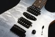 画像4: SAITO GUITARS S-624 HSH [Dawn] (4)