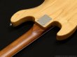 画像8: Bacchus　WL5-ASH33-AC 5-String Bass [Natural] (8)