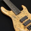 画像6: Sadowsky NYC　2007 Special Order Model - 24-Fret 5-String [中古品] (6)