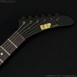 画像13: ESP　1999 MX-250 James Hetfield Signature [中古品] (13)