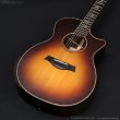 画像3: Taylor　2017 914ce SB [中古品] (3)