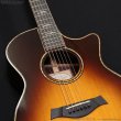 画像8: Taylor　2017 914ce SB [中古品] (8)