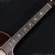 画像10: Taylor　2017 914ce SB [中古品] (10)