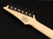 画像7: Ibanez　RG7421EX 7-string [Black Flat] (7)