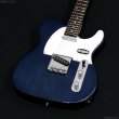 画像2: Schecter　OL-PT-AL [Deep Blue] (2)