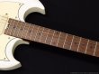 画像5: Bacchus　Global Series BSM-STD/RSM [Olympic White] [生産完了] (5)