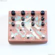 画像4: Walrus Audio　Qi Etherealizer [Terracotta] (4)