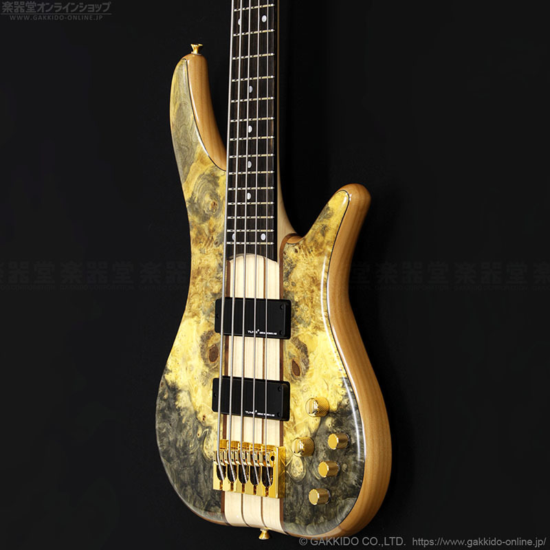 Phoenix PH-3-5 [Buckeye Burl Top / Flamed Maple Back] - 楽器堂