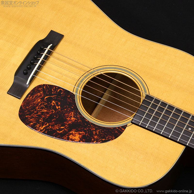 マーティンギターMartin D-18GE Custom - 楽器/器材